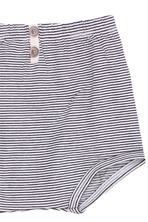 Culotte in cotone stretch 1+ IN THE FAMILY | GALILEAANTRACITE
